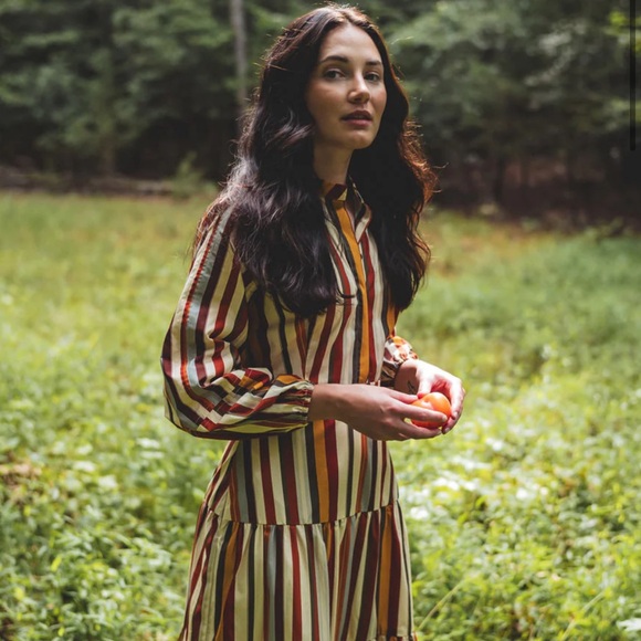 BNWT Parterre - Brooks Dress (Dolce Stripe) - Size 2 (6-8) - Picture 2 of 5